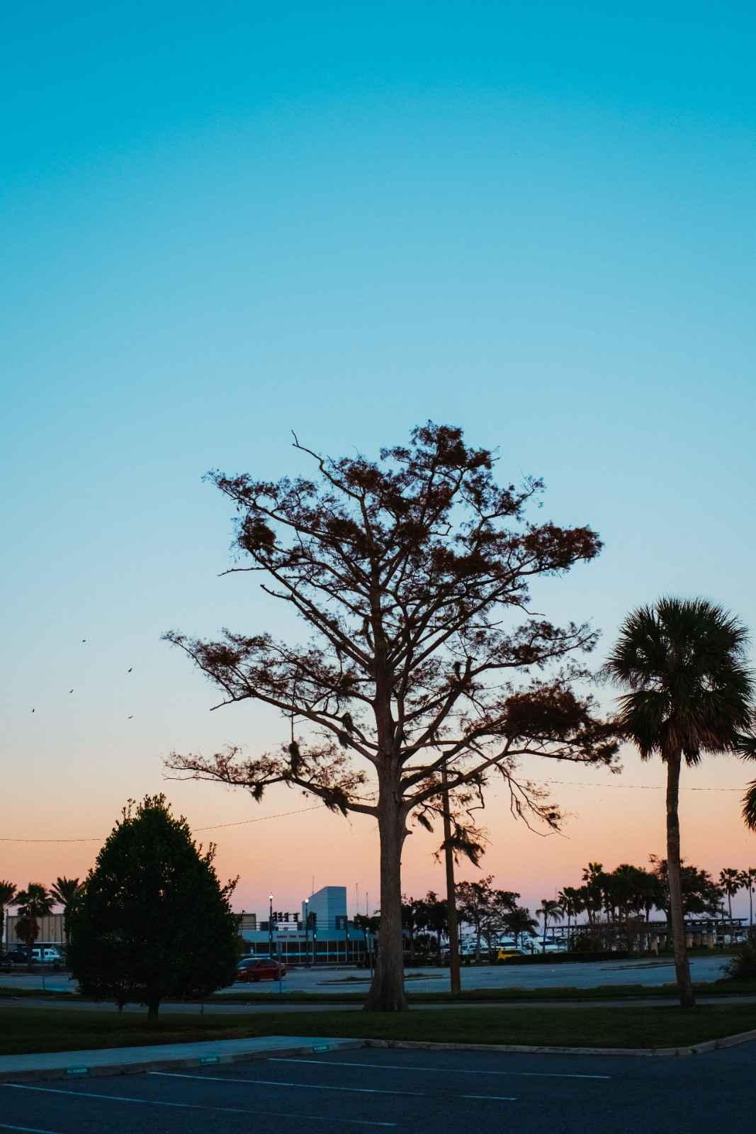 Home remodeling Gulfport, FL