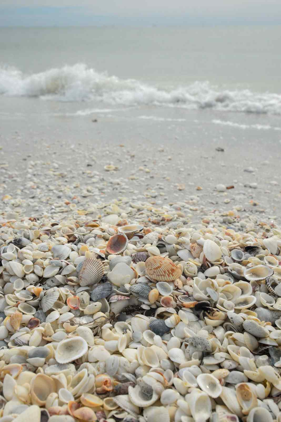 Home remodeling Indian Rocks Beach, FL